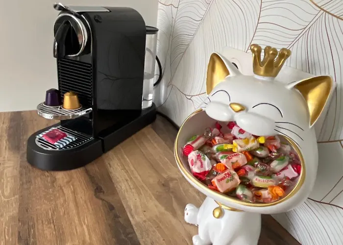 Avec Grande Terrasse Épinal